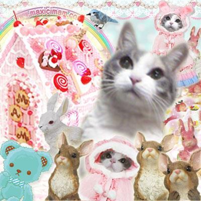 黒猫 アリスの不思議な猫ねこ世界 Kuroneko22mam Twitter 黒猫 アリスの不思議な猫ねこ世界 Kuroneko22mam Twitter
