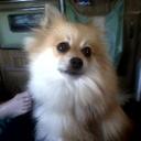 joseph settle - @joesettle1 - Twitter