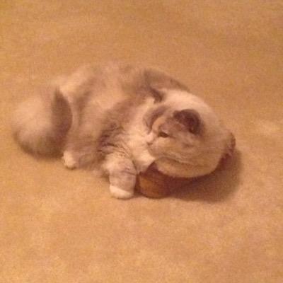 retiredteacher8's profile picture. Retired teacher. BA in history; MEds in elementary education and reading; EdD in curriculum and instruction. Parent of grown son. Widow (2018)