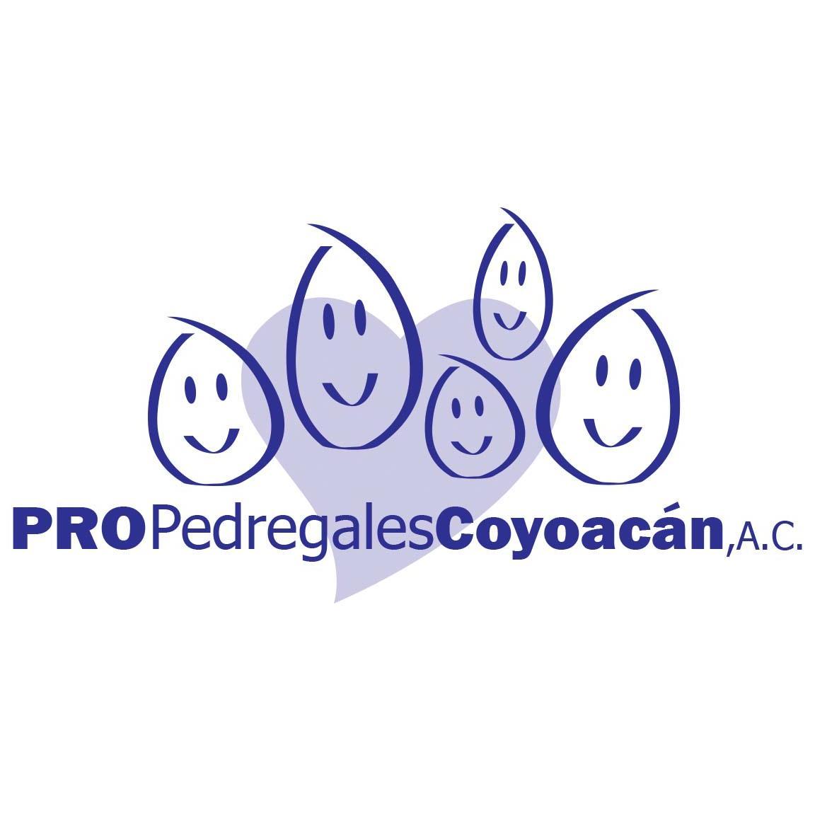 ProPedregales's profile picture. Institución sin fines de lucro que colabora con la población del Pedregal de Santo Domingo, busca mejorar condiciones de vida personal, familiar y comunitario.