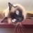 tgg_13's profile image
