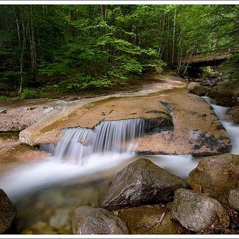 pete_pen's profile picture. 