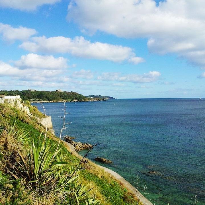 Following the working lives of the University of Exeter's bioscience Graduate Business Partners working at the beautiful Cornwall Campus. #CLESteachinglab