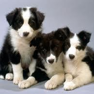 maniaczka2004's profile picture. 