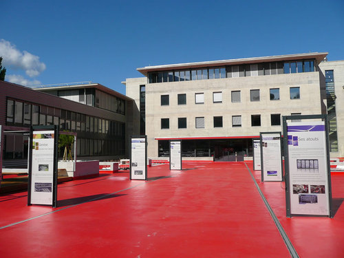 Swiss Digital Center Profile