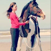 Lis van Vliet♡ (@lisandsummer) 's Twitter Profile