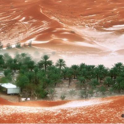 aaafffaaaddd's profile picture. 