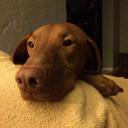 Kurt Maynard - @skmaynard1 - Twitter