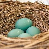 mominma's profile picture. 