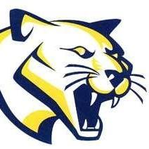 Cundles Heights PS Profile