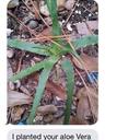 Robin Rich - @robinbird92556 - Twitter