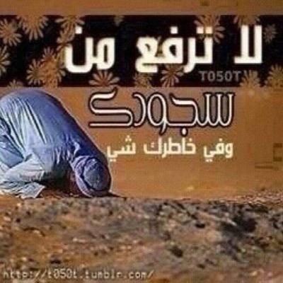 zadek44's profile picture. ▎ { وتزودوا فإن خير الزاد التقوى } ••