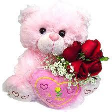 SevimliBegum's profile picture. 