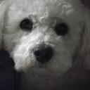 isabelle branger - @BrangerIsabran - Twitter