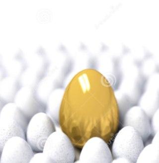 trails_follow's profile picture. Im an egg...