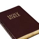 Bible - @TheDangBible - Twitter