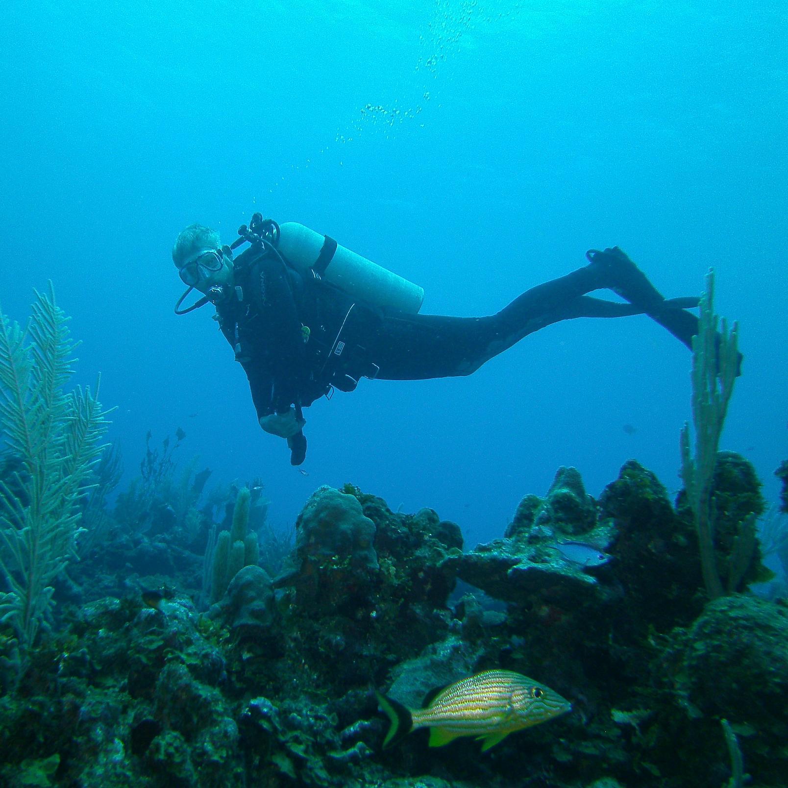 We are a full service dive shop with instore pool
We love teaching and keeping people diving we run trips and charters .