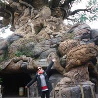 paty rojas (@paty_rojasb) 's Twitter Profile