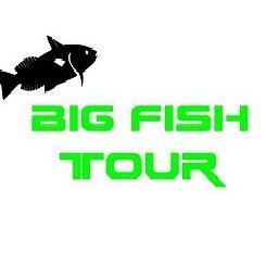 Big_fish_tour's profile picture. 