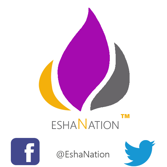 eshanation's profile picture. An Organization for Dancers, Web Masters...etc..