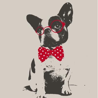 FollowJordan11's profile picture. C'est facile de faire le con mais d'etre con c'est tout un art !