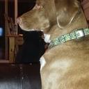 Wyatt Tanner - @WyattTanner1 - Twitter