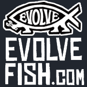 EvolveFISHcom's profile picture. Irreverent swag for Atheists and Freethinkers. T-Shirts, Magnets, Bumper Stickers and more! http://t.co/EBLFtn8nuT