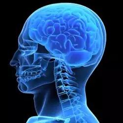 RadiologyZone's profile picture. 