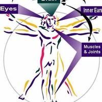 The Center for Balance and Dizziness (@cincibalance) 's Twitter Profile Photo