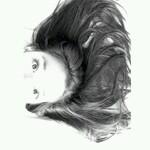 Dinda_C2's profile picture. Niall.                     @onedirection                                Genvector'03.Domo5cition