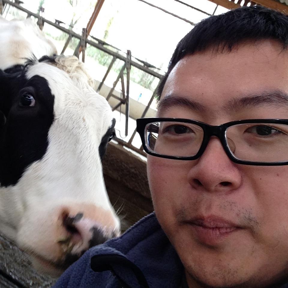 Noacohol's profile picture. kill time and look for fun