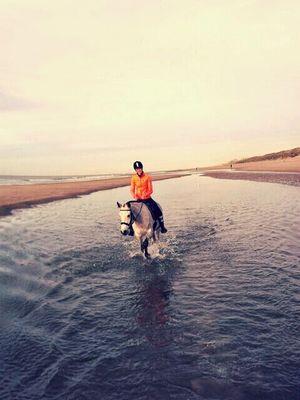 _RoomssXx's profile picture. 