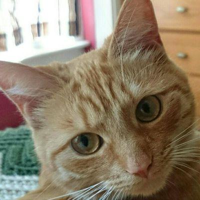 rubyring21's profile picture. 