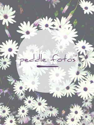 @Am0re100 /Afrikaanse Fotos & Quotes