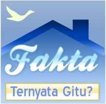 TernyataGitu Profile Picture