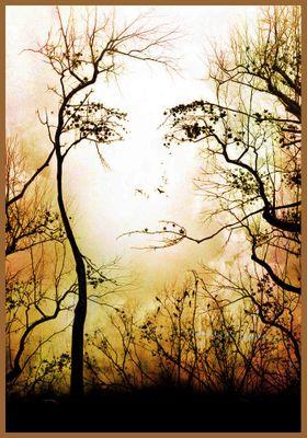 LostnDigression's profile picture. 