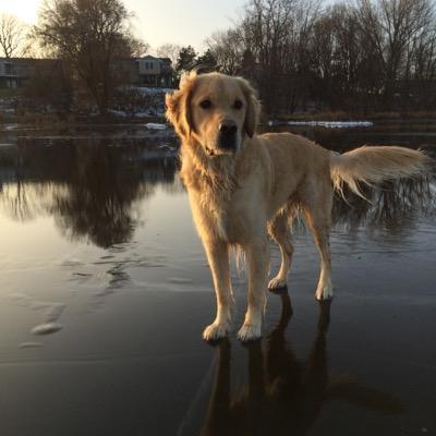 HairyGary's profile picture. Father of 3 gals, husband, attorney and lover of two wheels.