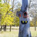 Michael Geib - @GeibMichael - Twitter