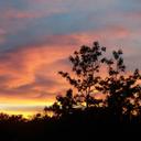 Cindy Neely - @cneely42 - Twitter