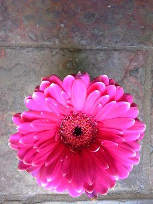 mizza1234_mizza's profile picture. 