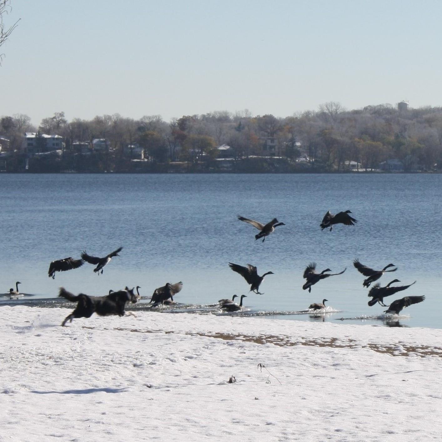 jj2365's profile picture. 