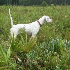 dwells329's profile picture. Just trying to learn from those who will help. 
 Prayer Works