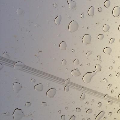 ham4131 Profile Picture