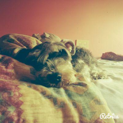 Morena espectacular. Sanz . Loca por Dios. Mandona y mal genio ☺