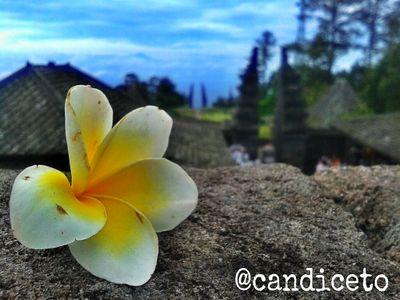 OFFICIAL TWITTER OF CANDI CETO                Obyek Wisata Di Kaki Gunung Lawu             Save Our Earth • Save Our Heritage