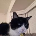 Robert Chow - @leafian - Twitter