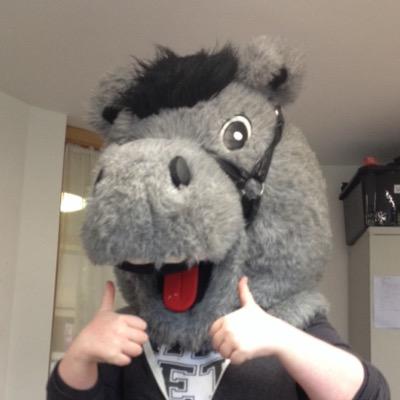 widgetshep's profile picture. 