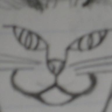 antimisogynist1's profile picture. Fake account.. obviously. Disgusted with todays growing trend of misogyny, as witnessed with Gta 5 and GamerGate. I'll do my part to fight back.