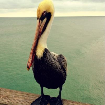 cdubbydub23's profile picture. 