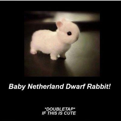 Spikie_mike's profile picture. vanossGaming here so check out my real account which is @Vanossgaming so hope u follow both my account, and I'll talk u gus later